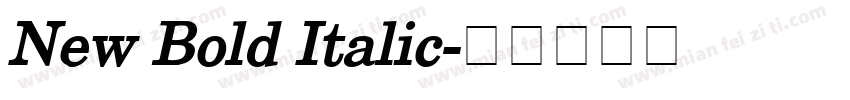 New Bold Italic字体转换